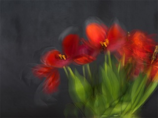 Grundlagen Kurs Fotografie
