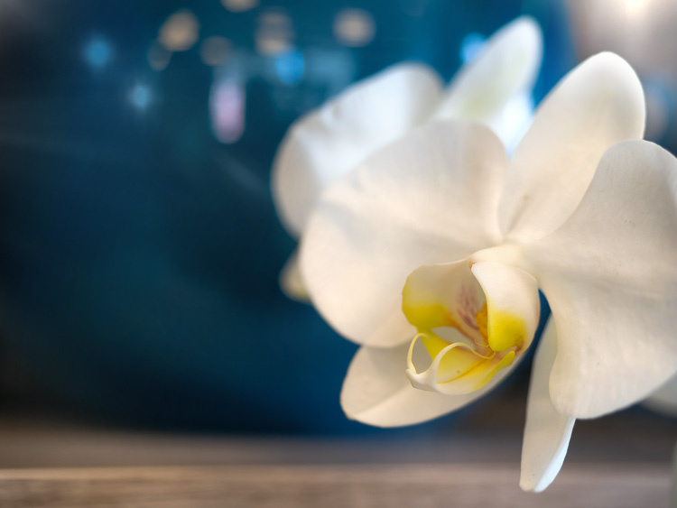 Grundlagen Fotokurs Lian Siekman