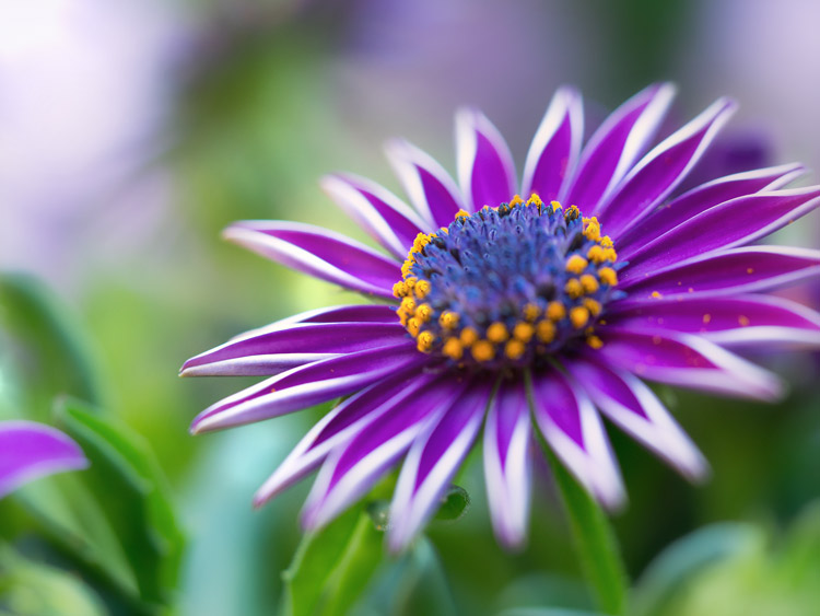 Impressionen Fotokurs `Motive anders sehen lernen´ April 2018-featured_image