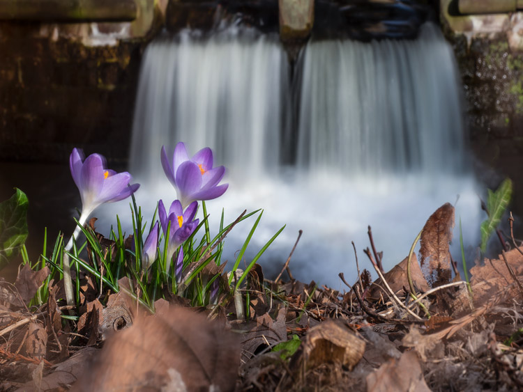 Kursimpressionen Experimentelle Fotografie 2019-3