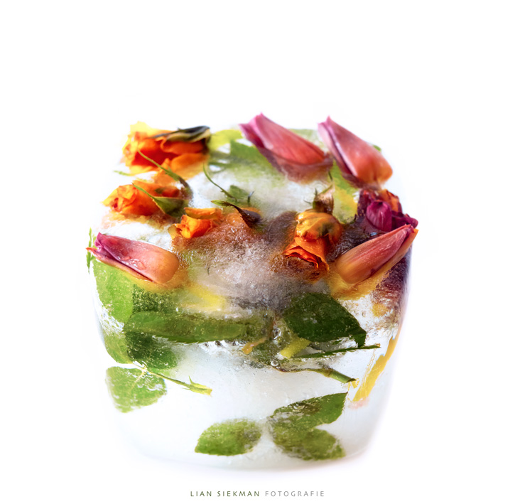 Kreativ fotografieren-featured_image