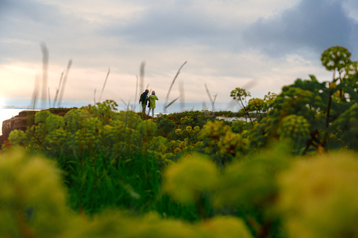 Island impressionistisch 2019