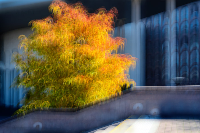 Kursimpressionen ´Poetisch kreativ fotografieren´ Oktober 2019-featured_image