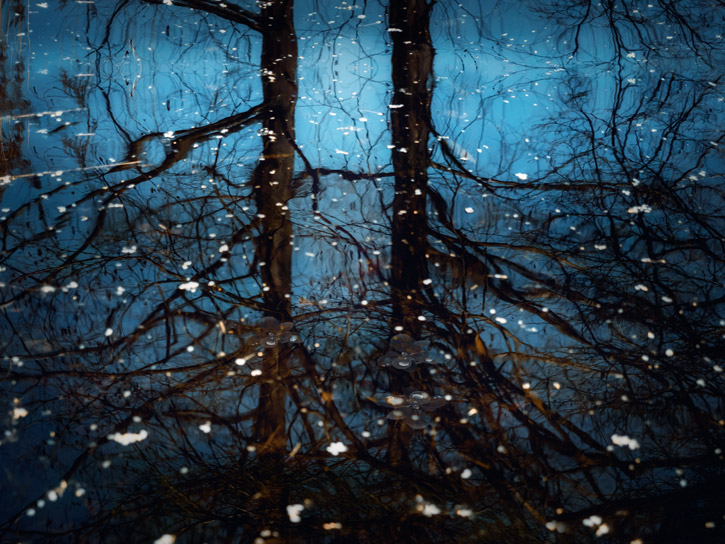 Ein beglücktes Moment a la Monet-featured_image