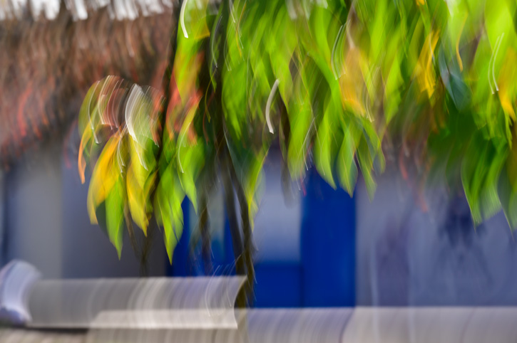 Poetisch und kreativ 2020