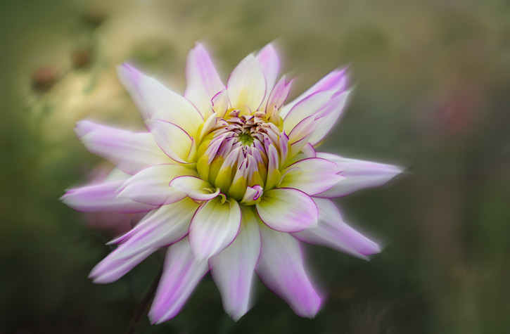 Fotokurs für Anfänger-featured_image