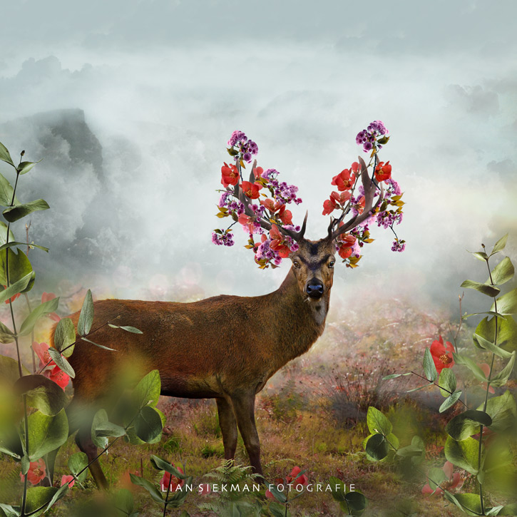 Webinar Affinity Photo-featured_image