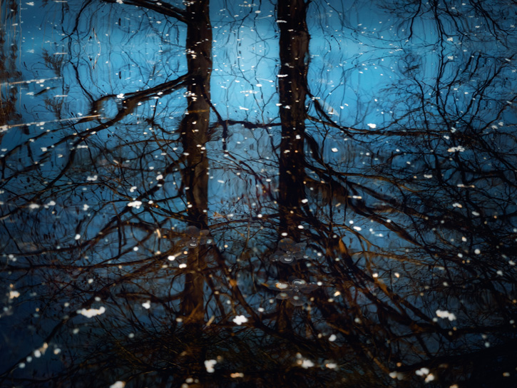 Poetische, impressionistische Fotografie-featured_image