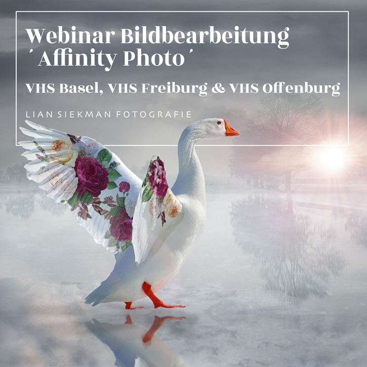 Webinars Affinity Photo Herbst 2023-featured_image