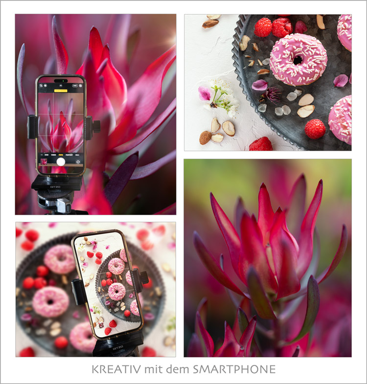 Kreatives Fotografieren mit dem Smartphone – April 2025-featured_image